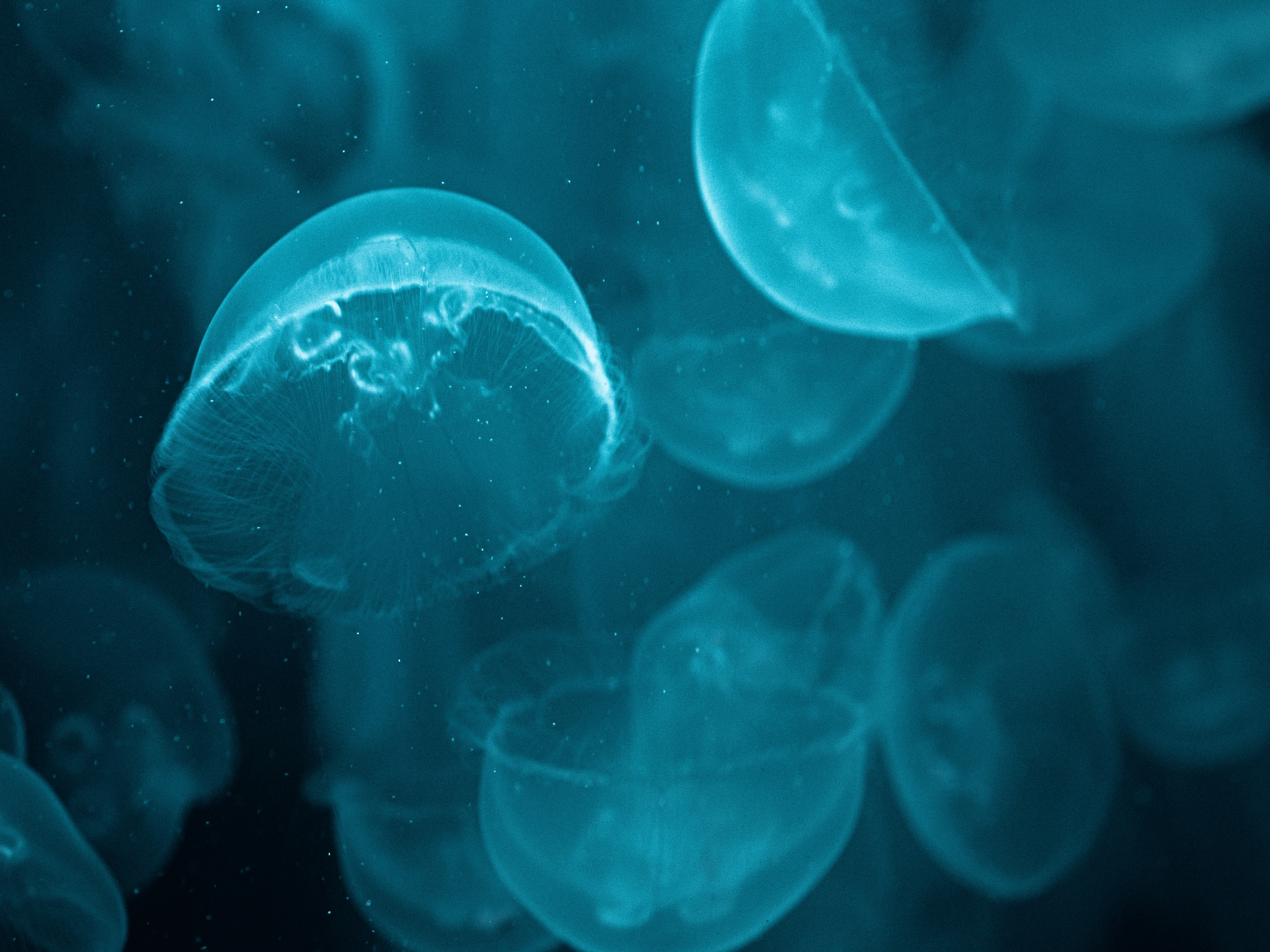 maxence-pira-dtZEfzK5mN8-unsplash